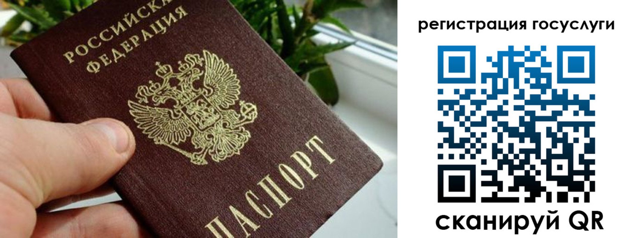 прописка для кредита в Волгоградской области
