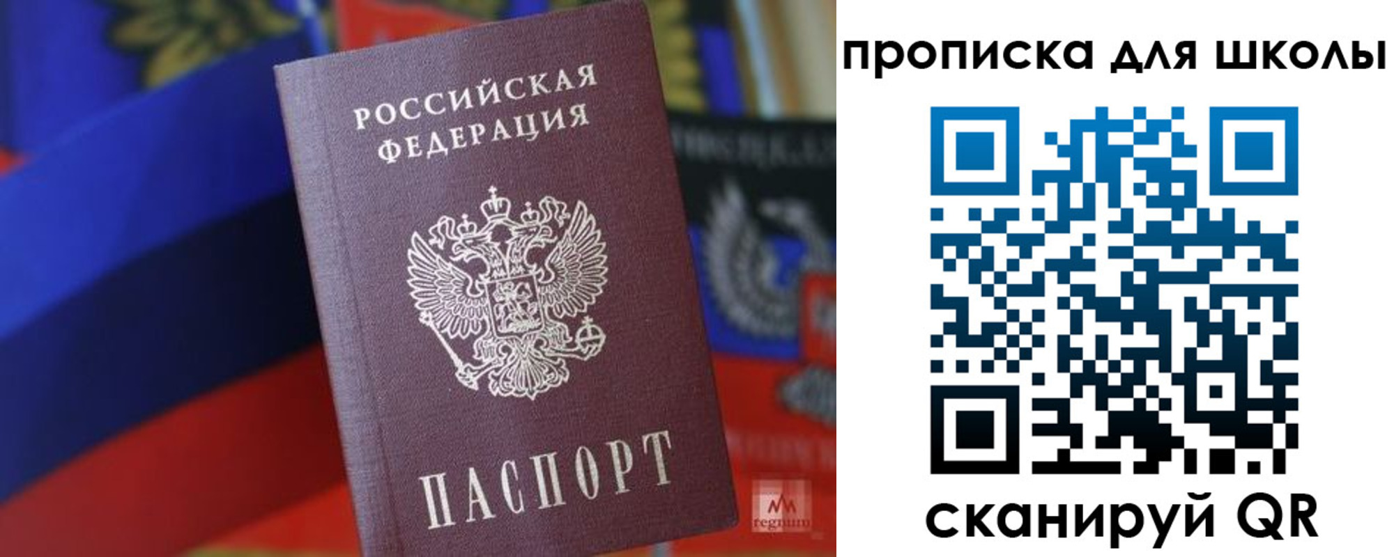 временная регистрация поиск в Волгоградской области